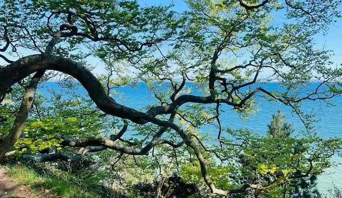 Small Private Two By The Sea *